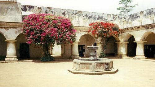 Church and Convent of Capuchins (Antigua)